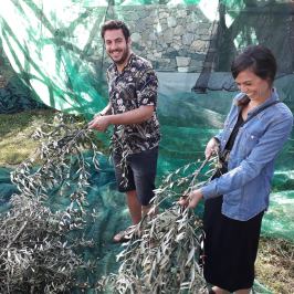 Sorrento Farm-to-Table Tour