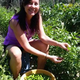 Sorrento Farm-to-Table Tour