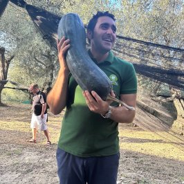 Sorrento Farm-to-Table Tour