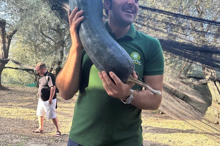 Sorrento Farm-to-Table Tour