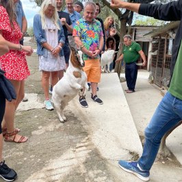 Sorrento Farm-to-Table Tour