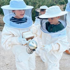 Valencia beekeeping Tour
