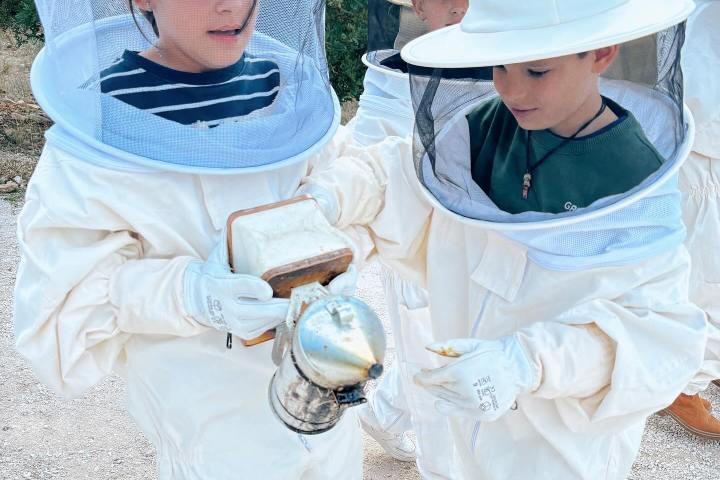 Valencia beekeeping Tour