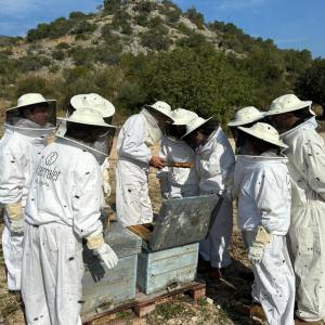 Valencia beekeeping Tour