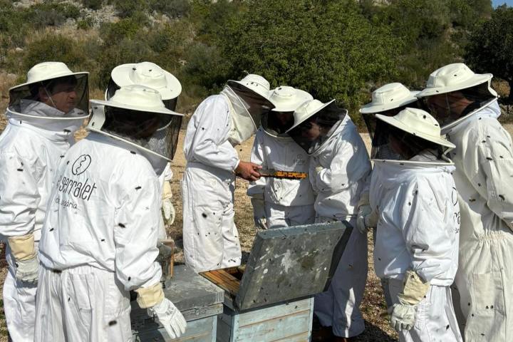 Valencia beekeeping Tour