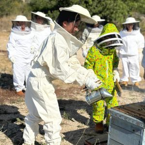 Valencia beekeeping Tour