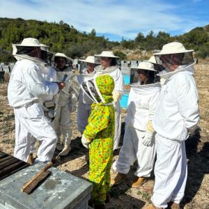 Valencia beekeeping Tour