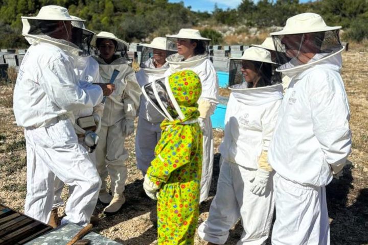 Valencia beekeeping Tour