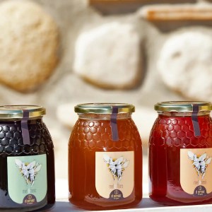 Valencia beekeeping Tour