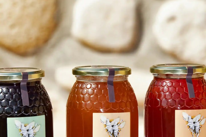 Valencia beekeeping Tour