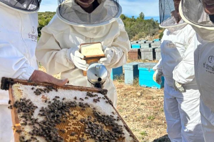 Valencia beekeeping Tour
