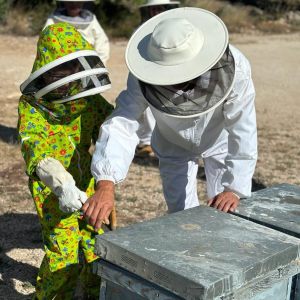 Valencia beekeeping Tour