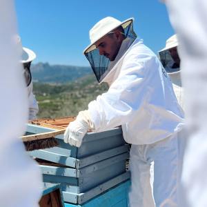 Valencia beekeeping Tour
