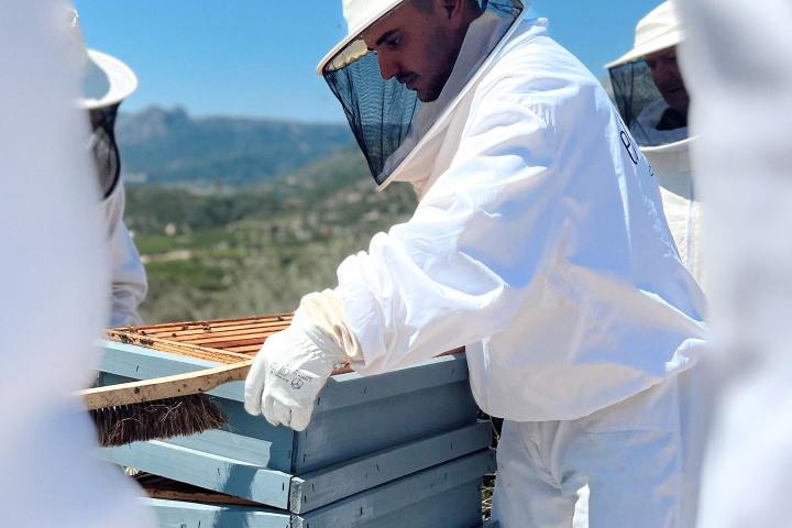 Valencia beekeeping Tour