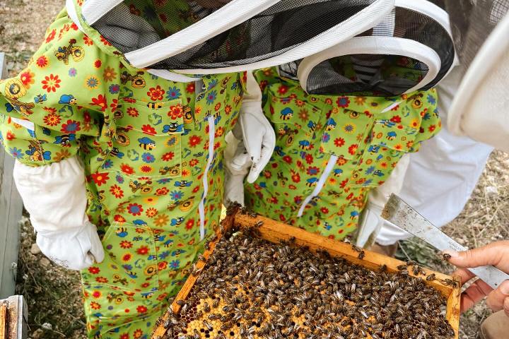Valencia beekeeping Tour