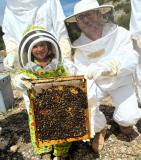 Valencia beekeeping Tour