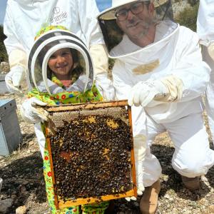 Valencia beekeeping Tour