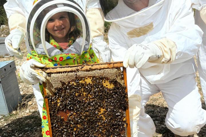 Valencia beekeeping Tour