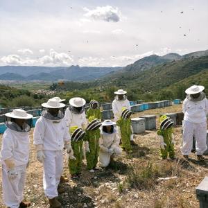 Valencia beekeeping Tour