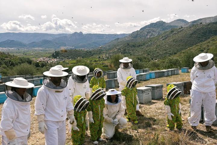 Valencia beekeeping Tour