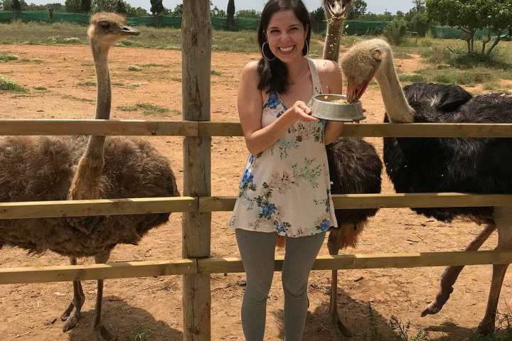 Mallorca Ostrich Farm Tour