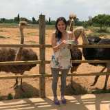 Mallorca Ostrich Farm Tour