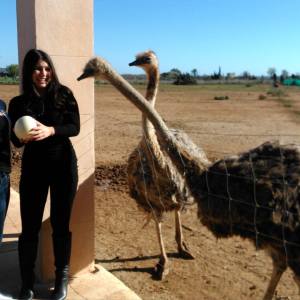 Mallorca Ostrich Farm Tour
