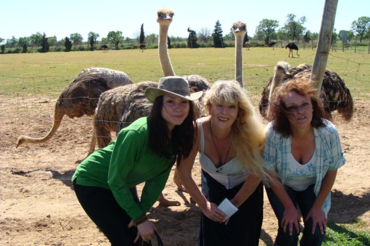 Mallorca Ostrich Farm Tour