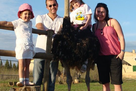 Mallorca Ostrich Farm Tour