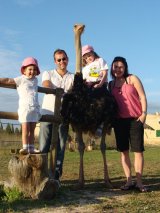 Mallorca Ostrich Farm Tour