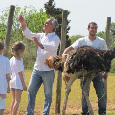 Mallorca Ostrich Farm Tour