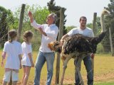 Mallorca Ostrich Farm Tour
