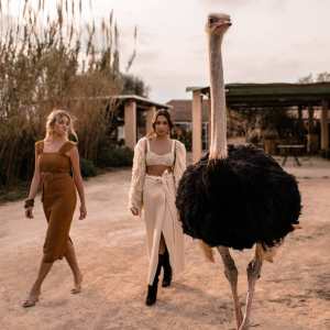 Mallorca Ostrich Farm Tour