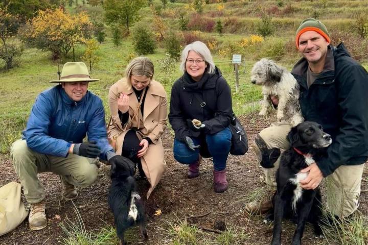 Provence Truffle Hunting tour