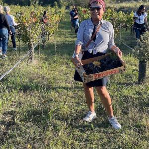 Provence Truffle Hunting tour
