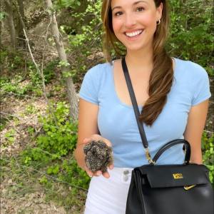 Provence Truffle Hunting tour