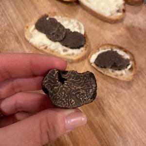 Provence Truffle Hunting tour