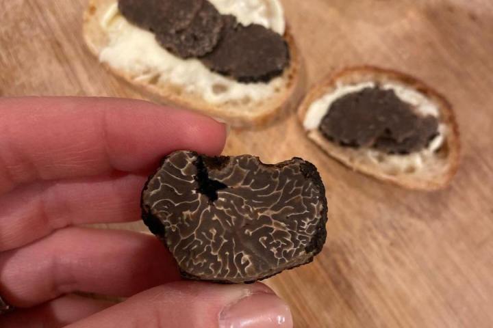 Provence Truffle Hunting tour