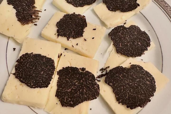 Provence Truffle Hunting tour