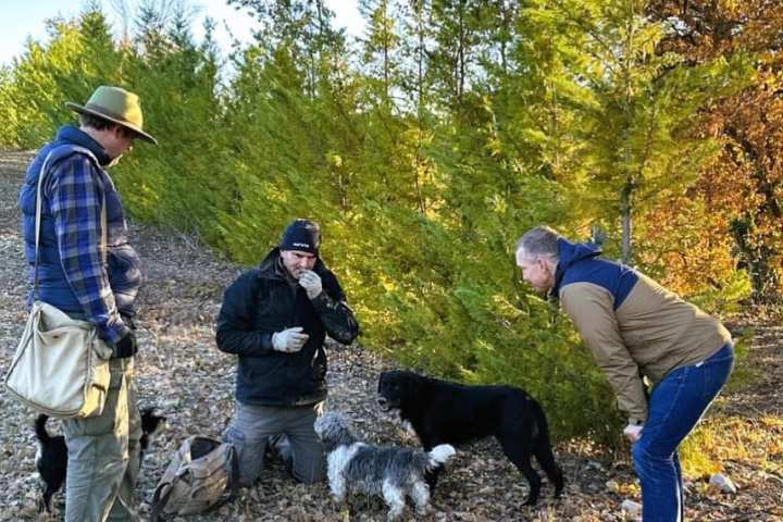 Provence Truffle Hunting tour