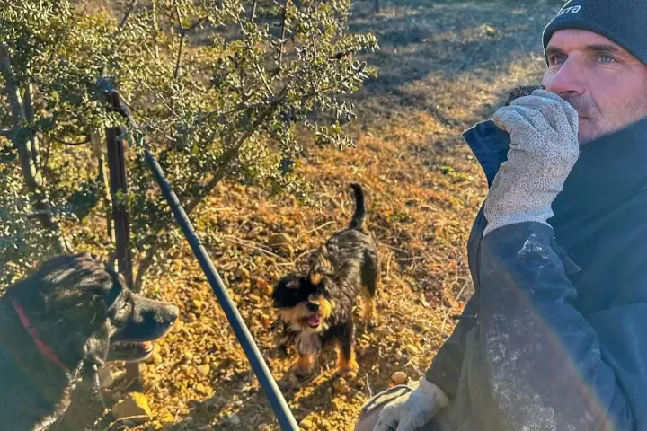 Provence Truffle Hunting tour