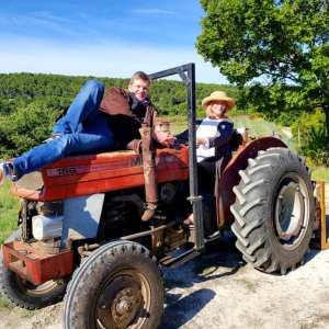 provence grape picking tour
