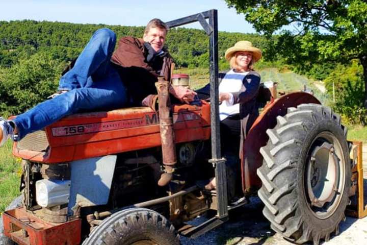 provence grape picking tour