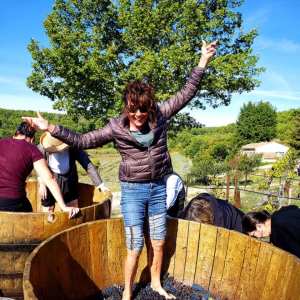 provence grape picking tour