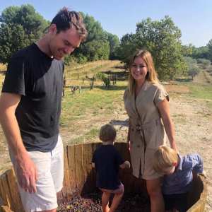 provence grape picking tour