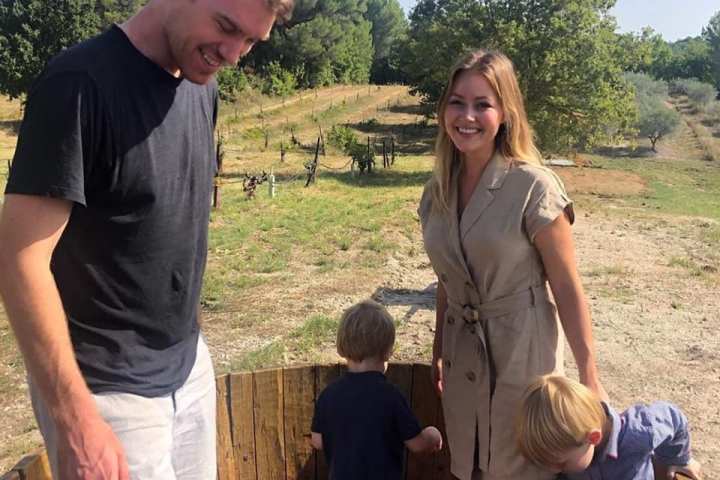 provence grape picking tour