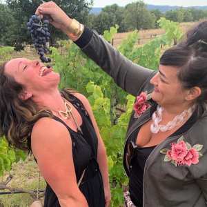 provence grape picking tour