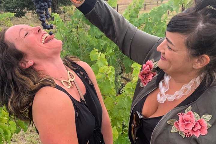 provence grape picking tour