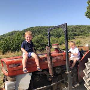 provence grape picking tour