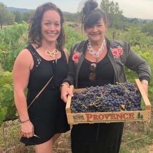 provence grape picking tour